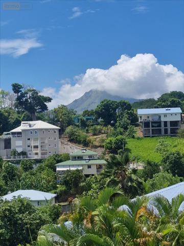 Maison à vendre à Le Carbet en Martinique (97221), ref : 97205-1009069