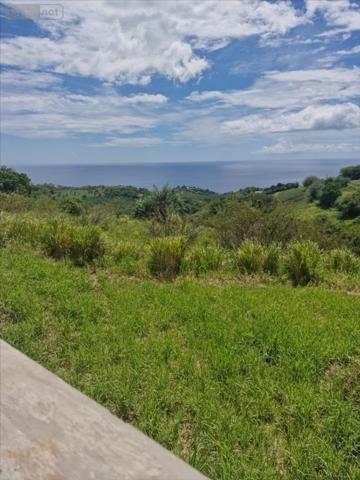 Maison à vendre à Le Carbet en Martinique (97221), ref : 97205-1009069