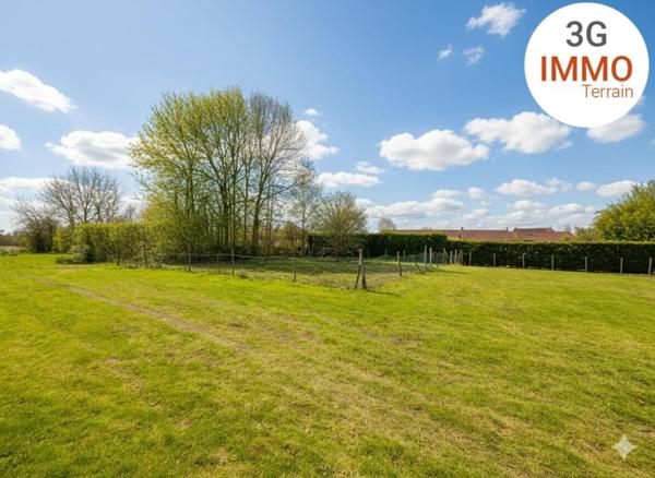 Vente / Terrain constructeur