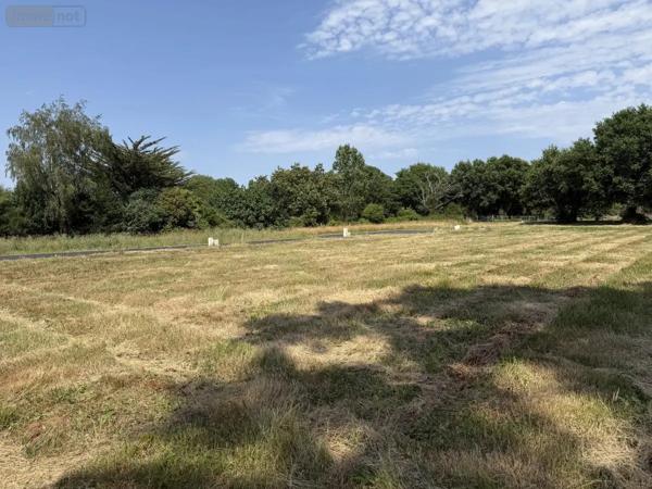 Achat - Terrain à bâtir Péaule 56130 462 m 2