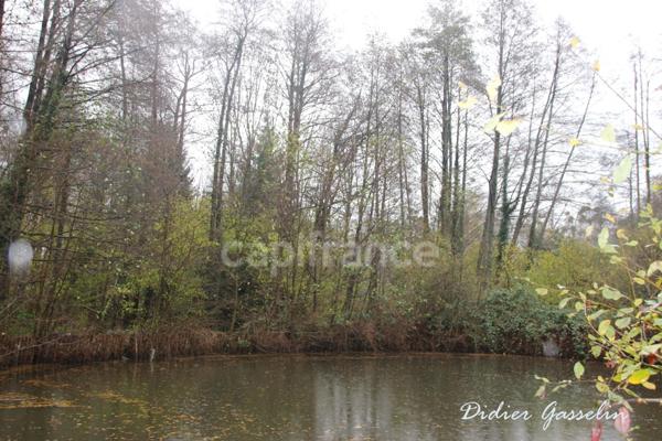 Terrain à vendre GREEZ SUR ROC (72)