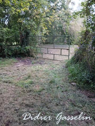 Terrain à vendre GREEZ SUR ROC (72)