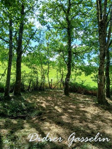 Terrain à vendre GREEZ SUR ROC (72)