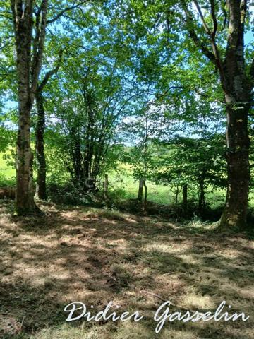 Terrain à vendre GREEZ SUR ROC (72)