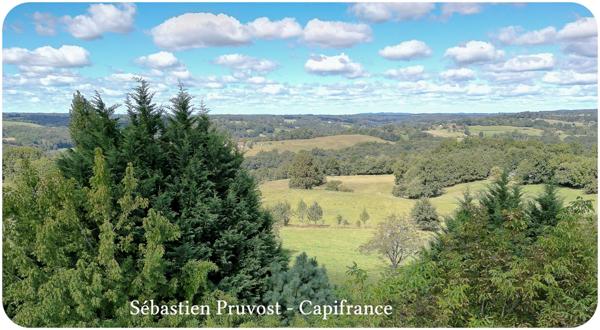 Dpt Dordogne (24), à vendre 11 pièces proche Thiviers (24) propriété P11 325M2, terrain 22200m2, dépendance, piscine.