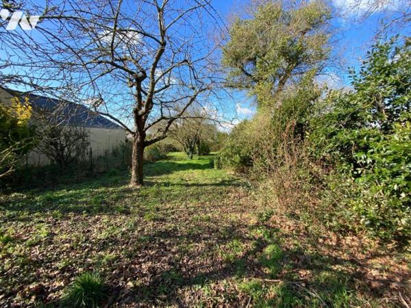 Terrain à bâtir non viabilisé en bout de lotissement