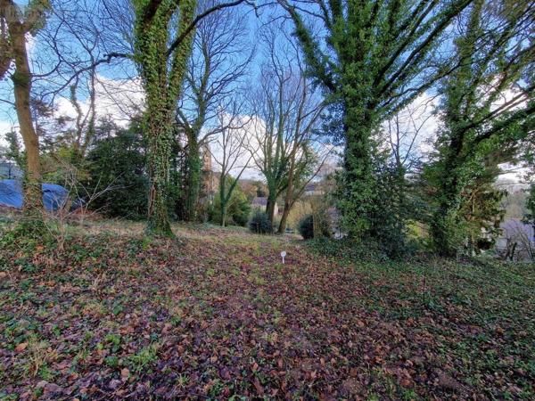 Terrain à Batir à vendre à La Chapelle-Caro dans le Morbihan (56460), ref : 56050-688