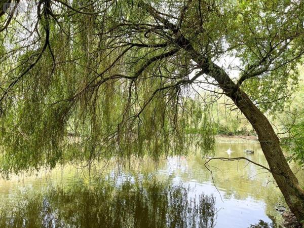 Maison à vendre à Pacé en Ille-et-Vilaine (35740), ref : 35021-2072