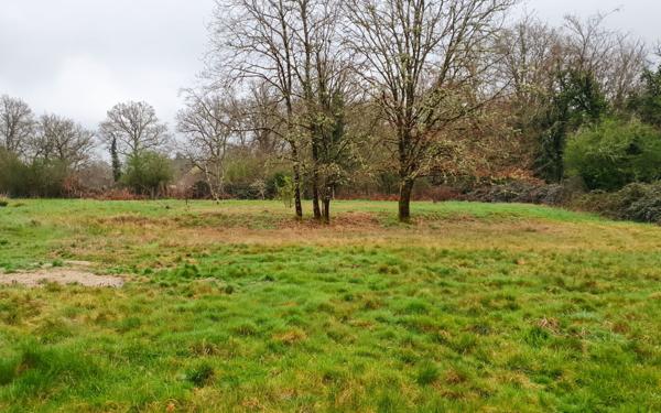 Maison à louer    4 pièces •  Sainte-Montaine