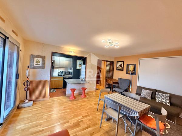 STUDIO 38M2 BALCON, Avenue du Docteur Arnold Netter