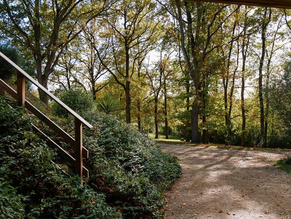 Maison moderne et rénovée de 280m² avec jardin, vignobles et prairies sur plus d'1 hectare à seulement 10 minutes de Brissac-Quincé