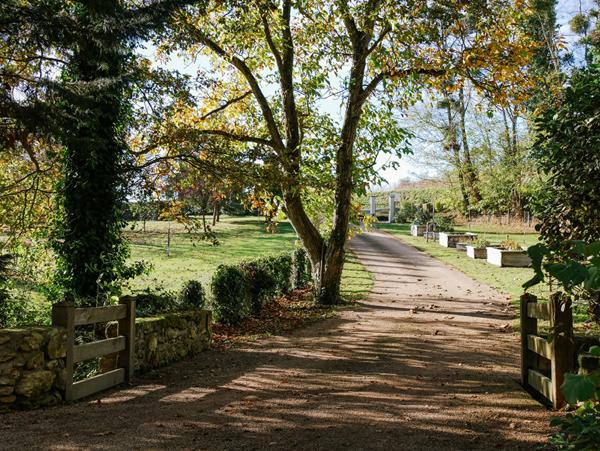 Maison moderne et rénovée de 280m² avec jardin, vignobles et prairies sur plus d'1 hectare à seulement 10 minutes de Brissac-Quincé