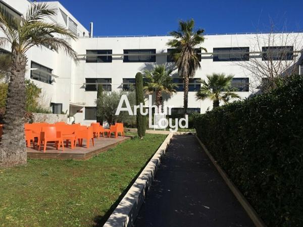 Bureaux 261.53 m² à louer divisibles dès 76.72 m² vue dégagée Golf - Sophia Antipolis