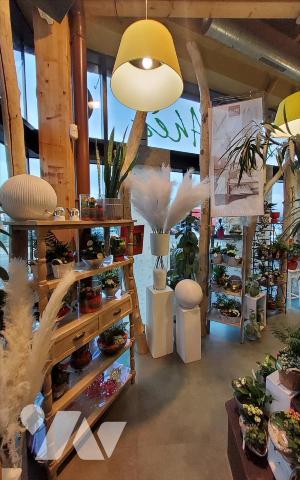 CARHAIX - FONDS DE COMMERCE