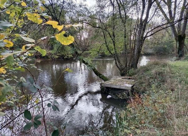 Terrain à vendre    Pruniers-en-Sologne