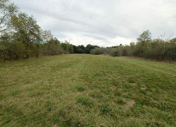 Terrain à vendre    Pruniers-en-Sologne