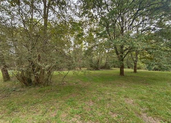 Terrain à vendre    Pruniers-en-Sologne