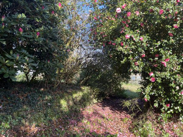 St yvy (29140) Propriété avec 3 maisons en pierres sur terrain 1 Hectare