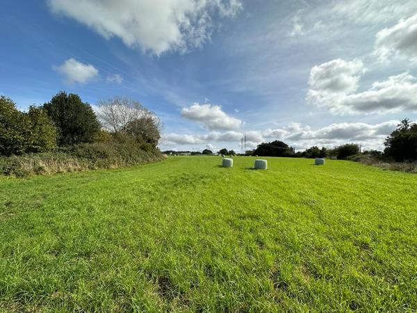 Terrain Mayenne 5349 m²