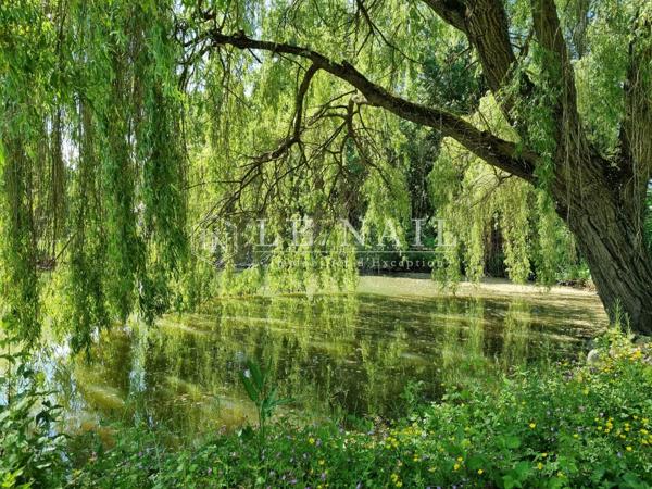 Elégant château 19e à vendre aux confins du Berry et de la Sologne.