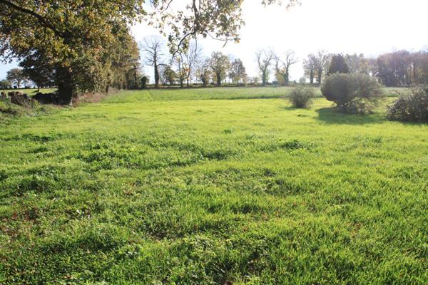 Maison Cormeray 5 pièce(s) 0124 m2