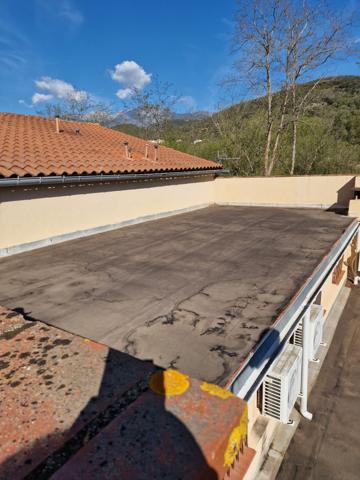 À vendre - Mas, 20 pièces situé à Arles-sur-Tech (66150)