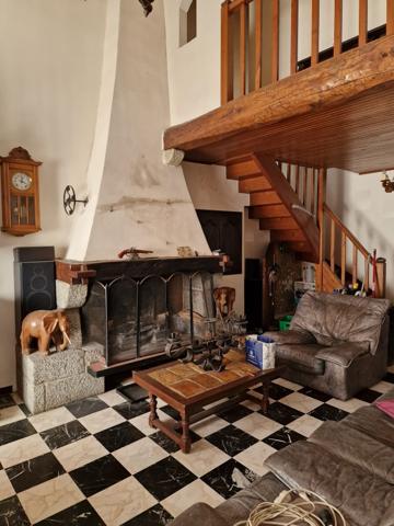 À vendre - Mas, 20 pièces situé à Arles-sur-Tech (66150)