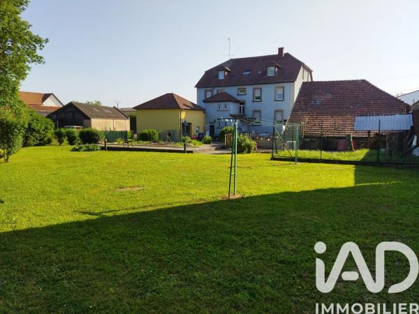 Immeuble à vendre 546 m² Drulingen