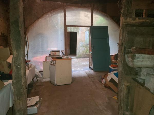 Maison plein centre, cave voûtée, terrasse, patio