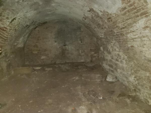 Maison plein centre, cave voûtée, terrasse, patio