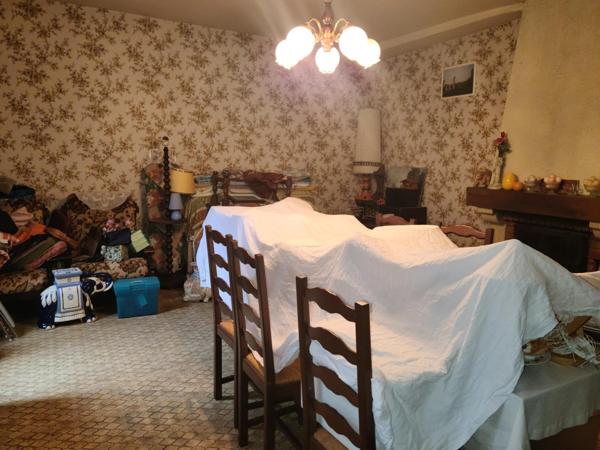 Maison plein centre, cave voûtée, terrasse, patio