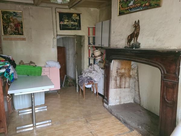 Maison plein centre, cave voûtée, terrasse, patio