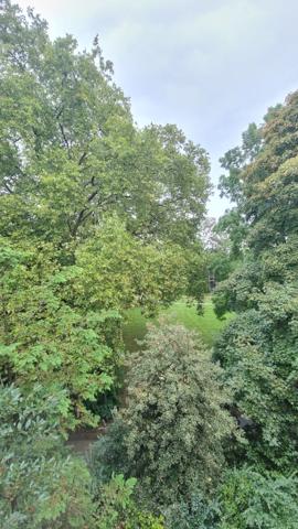 Appartement Torcy 3 pieces - Centre Ville + balcons