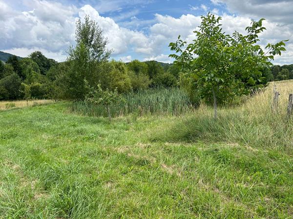 À VENDRE LOUBENS (09) Ancienne grange en pierre sur terrain arboré de 1,3 hectare