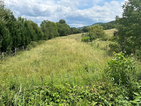 À VENDRE LOUBENS (09) Ancienne grange en pierre sur terrain arboré de 1,3 hectare