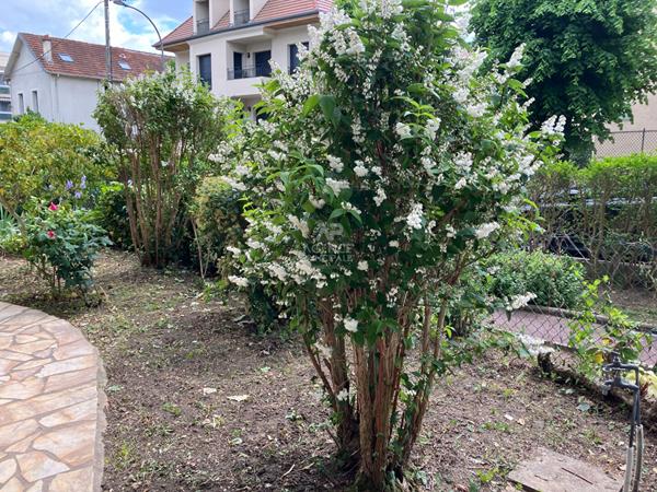 Appartement - Quartier Saint-Nicolas €599 000 ** - Référence 12857