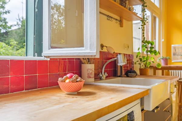 Alfortville - Ecole Vétérinaire - Duplex Atypique avec grand jardin