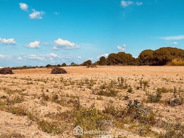 Terrain à bâtir 1628 m² à Perpignan 66000