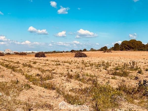 Terrain à bâtir 1628 m² à Perpignan 66000