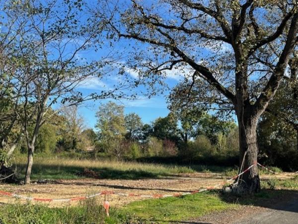 Terrain à vendre PLAISANCE (32) terrain avec chënes centenaires 1452m2, borné, cœur de village, pres des commerces et du marché hebdomadaire