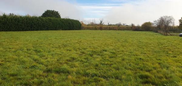 GARDONNE - TERRAIN CONSTRUCTIBLE 6911 M2 - 80 500 euros