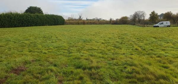 GARDONNE - TERRAIN CONSTRUCTIBLE 6911 M2 - 80 500 euros