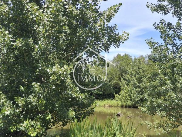 Prigonrieux: Maison atypique d'architecte de 125m² avec piscine et vue étang