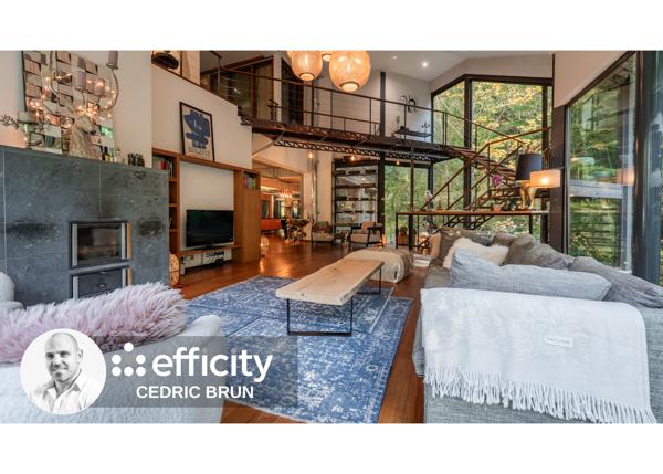 Maison 9 pièces - 450 m² Bien prestige