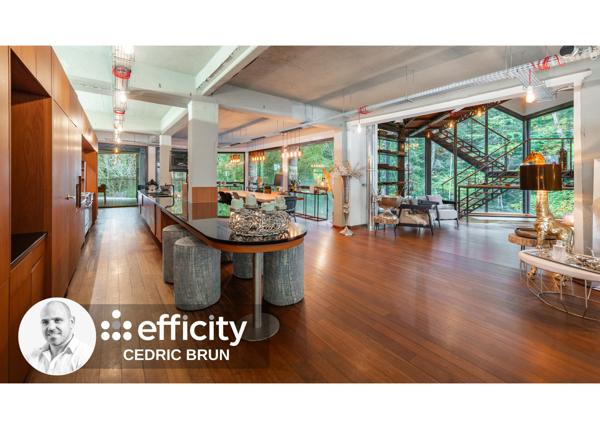 Maison 9 pièces - 450 m² Bien prestige