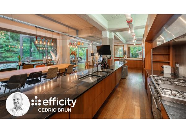 Maison 9 pièces - 450 m² Bien prestige