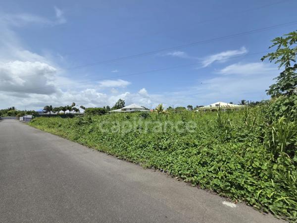Terrain constructible de 800 m² – Petit-Bourg, à 5 min de Colin et Jarry