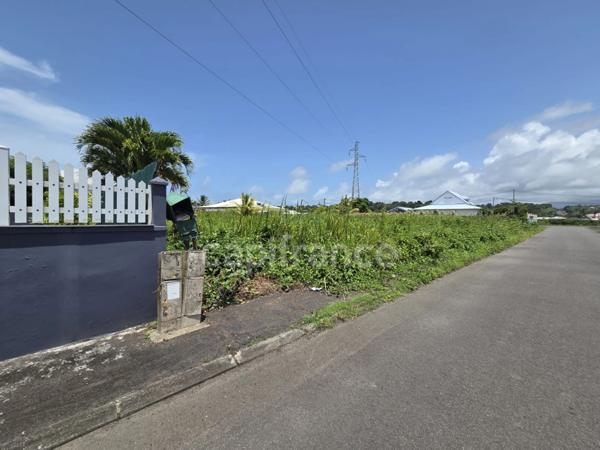 Terrain constructible de 800 m² – Petit-Bourg, à 5 min de Colin et Jarry