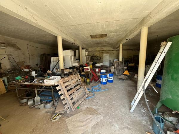 À 10 min de Carcassonne, ancien domaine avec 8 boxes, 7 maisons et dépendances sur 7593 m²