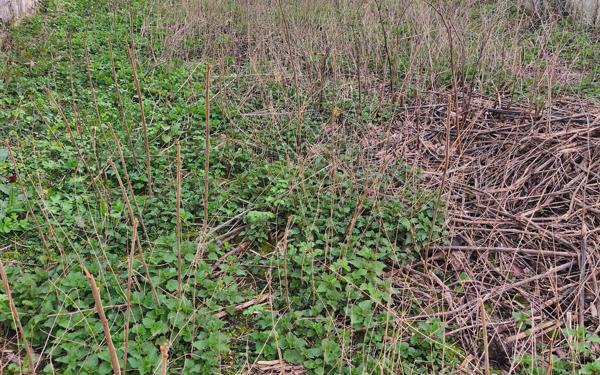 Terrain à vendre    La Ferté-sous-Jouarre